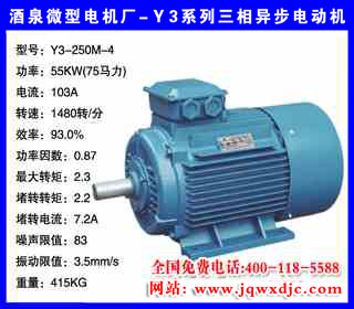 55KW �ļ� Y3ϵ�������첽�綯�� Y3-250M-4